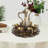 Nickolas 7.44Oz Teapot Set