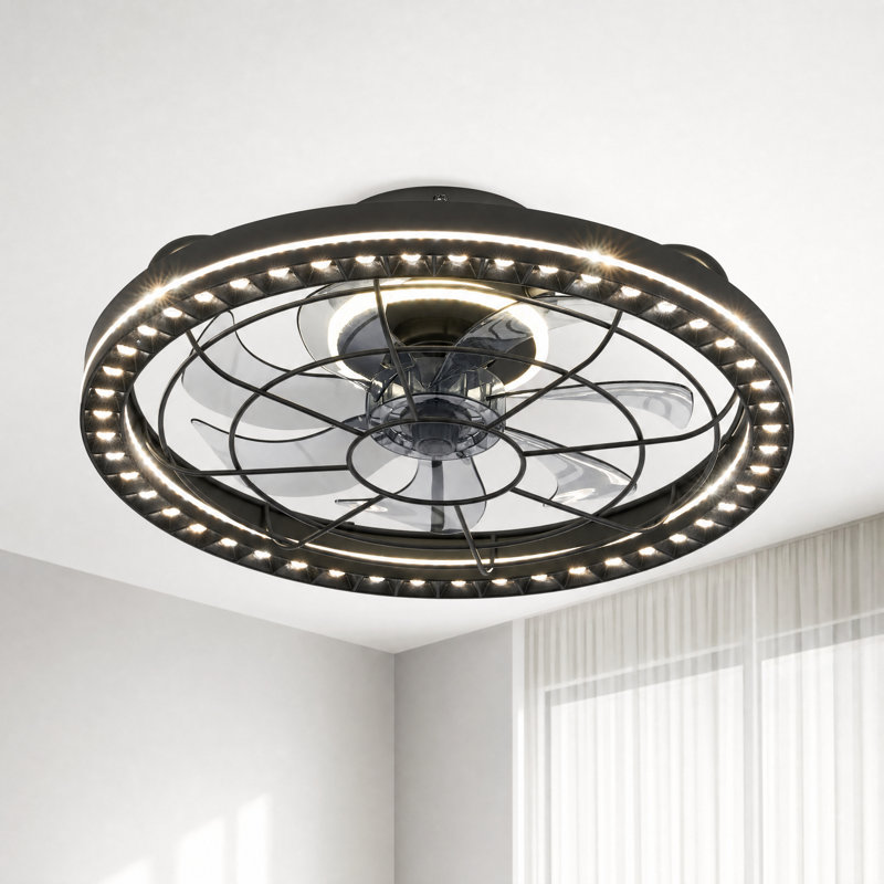 19'' Dimmable Caged Ceiling Fan with LED Lights