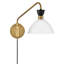 Steel Swing Arm Sconce