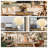 17'' Pampas Grass Grass-535719393