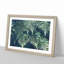 Fern Leaves Vol.1 - Framed Print-62802845-62802849