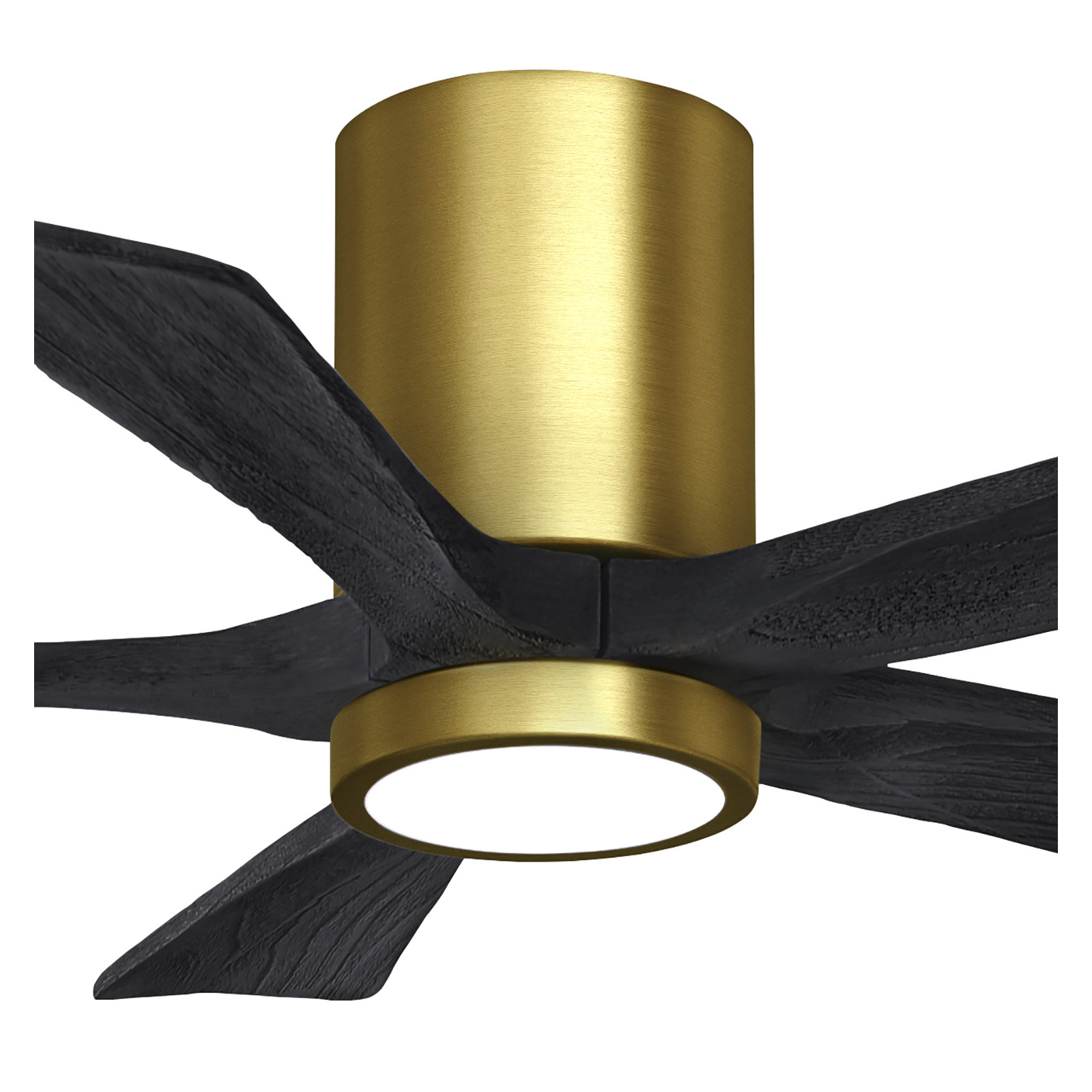 Irene 5 - Blade LED Ceiling Fan with Light Kit Included, Brushed Brass, Matte Black, 42"
