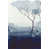 Image Brush Gel