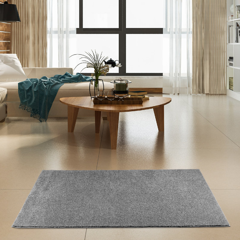 Modern Plush Pet and Kids Friendly Solid Color Area Rugs, Stain & Fade Resistance, Bedroom, Playroom and Kidsroom, Event, Wedding, Perfect for Living Room, Dining Room, Gray Rug