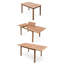 Hatteras 6 - Person Wood Patio Dining Set with Rectangular Table-1976584559