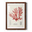 Cadre rétro vintage Coral Study IV de qualité supérieure - prêt à être accroché-989064983-989064984