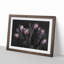 Tulip Flowers in Purple - Framed Print-55615102-55615108