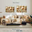 Aletra divers coquillages