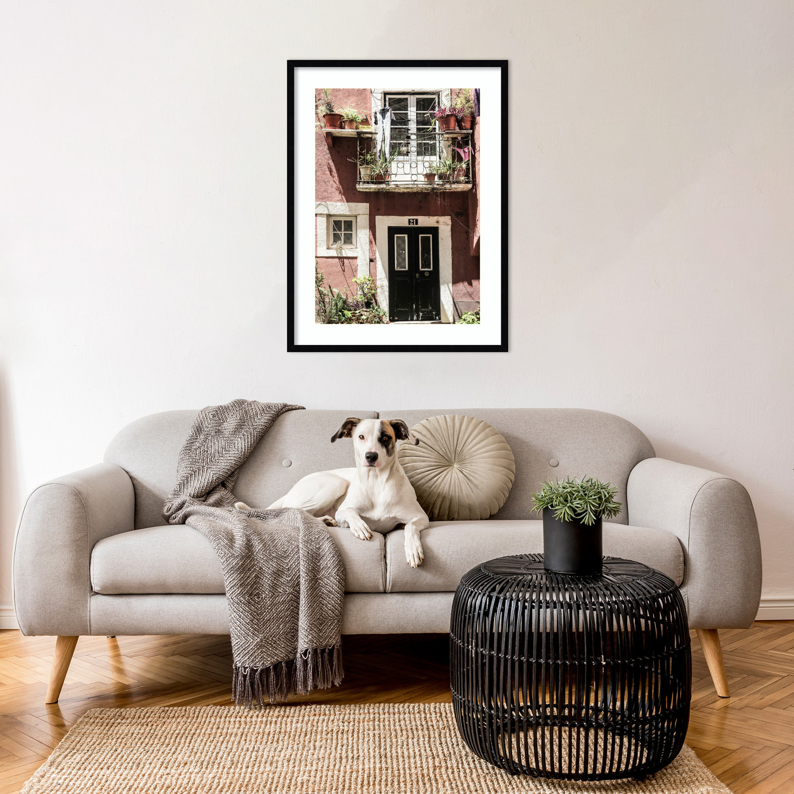 Daisey "No 21" Print by Shot by Clint, Black, 33" H x 25" W
