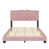 Rose est en rupture de stock