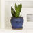 Wisteria Handmade Ceramic Pot Planter-36954725