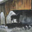 «Old Barn a Hand», reproduction d'art encadrée texturée-123515028-123515030