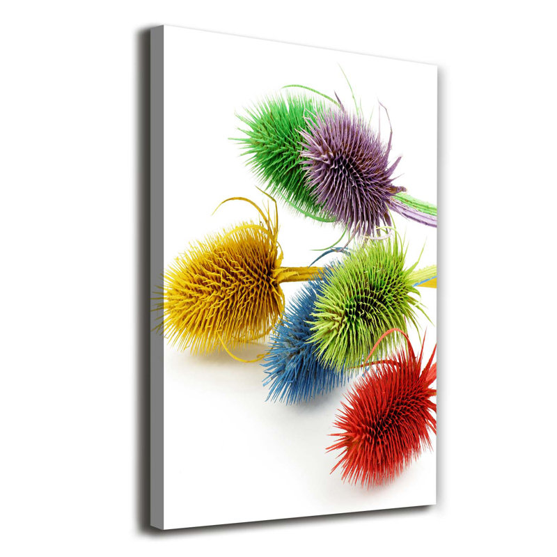 Thistle - Wrapped Canvas Print