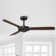 Aure 52" 3 - Blade Indoor Propeller Ceiling Fan With Remote Control