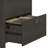 Echo 2 -Drawer File Cabinet-239530030