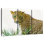 Wild Leopard