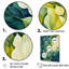 Leaves Green River Collage On Canvas Print-1455466813-1455466809
