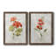 Lin, géranium, ensemble de reproductions d'art sur toile-52960889-52960892