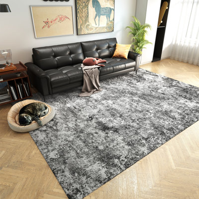 Living Room Rug 5x7 ft Black and White Area Rug Machine Washable Rug, Non Slip Vintage Rug Stain Resistant Indoor Large Carpet for Bedroom, Boho Rug, Distressed Retro Floor Rug for Classroom, Dorm, Dining Room