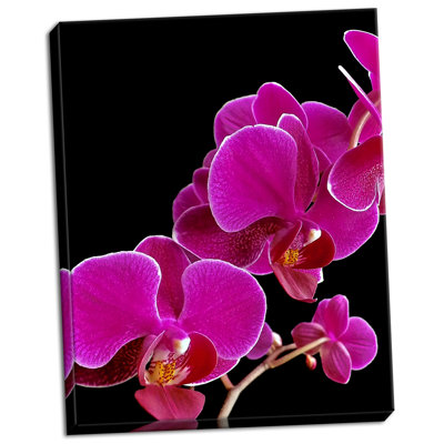 « orchidée essence i », reproduction de photo sur toile tendue