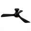 Ventilateur de plafond noir Hot Lights de 42 po avec lumières Hot Fan