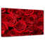 Bouquet de roses rouges-75302754