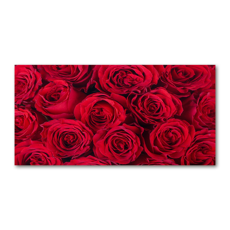 Roses 1 Piece Wrapped Canvas Wall Art