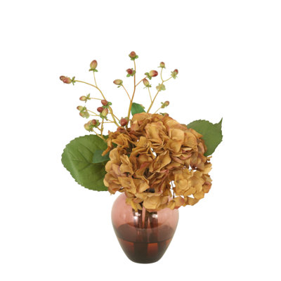 Hortensia bourgogne dans un vase de prune
