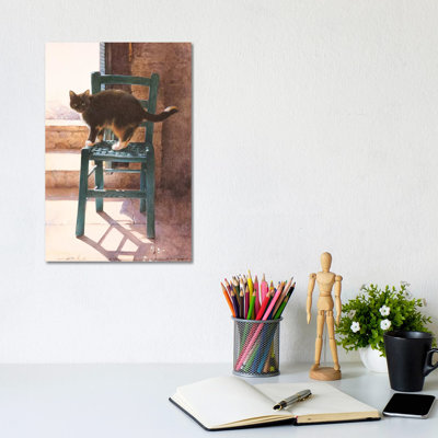 Motley In A Mediterranean Interior Cats by Ivory Cats - Wrapped Canvas Print