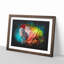 Rainbow Macaw Parrot - Picture Frame Graphic Art-56875954-56875953