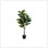 Plante artificielle, arbre violon, intérieur, faux, faux, plancher, verdure, pot, véritable touche, décoratif, feuilles vertes, pot noir