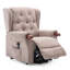 Avalon 83cm Wide Lift Assist Wing Chair Recliner-266778879