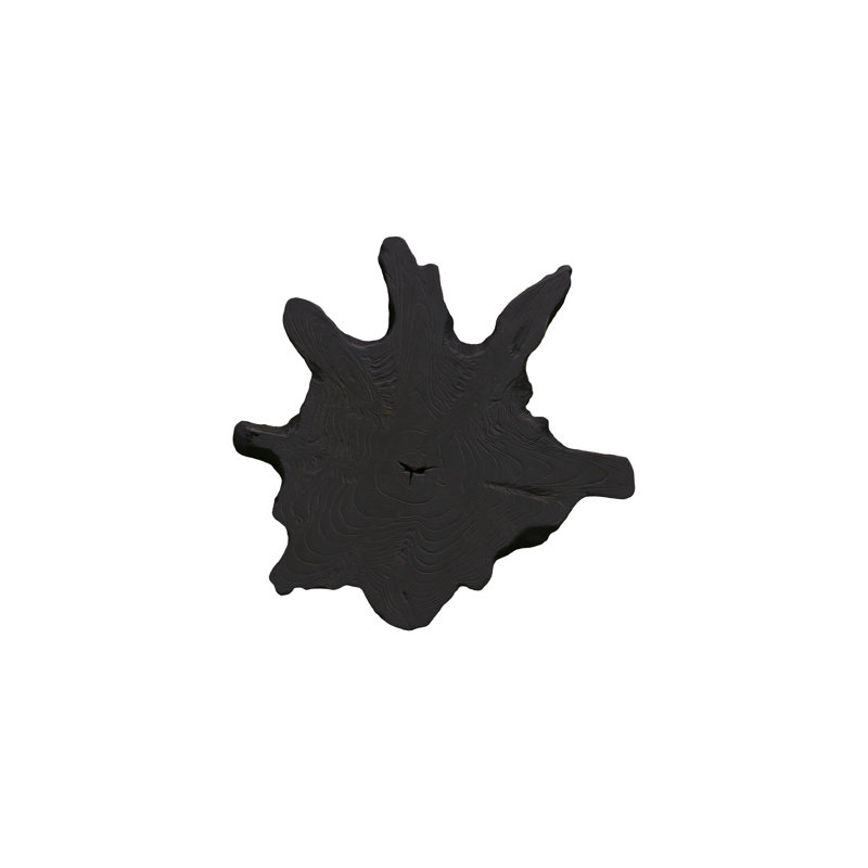 Teak Slice Wall Décor, Md, Black