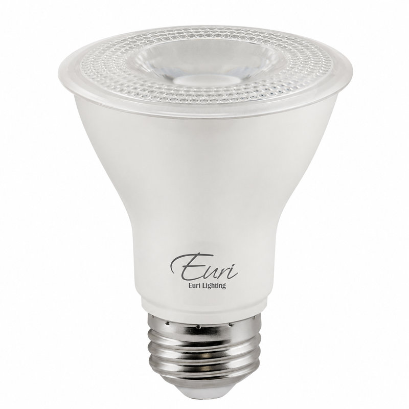 Ampoules DEL PAR30 à culot court Euri Lighting, 11 W, 975 lm, équivalent 75 W, 5 000 K, culot E26, homologuées CEC/UL, lot de 2