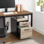 Classeur mobile verrouillable 2 tiroirs Turgeon -1795813907