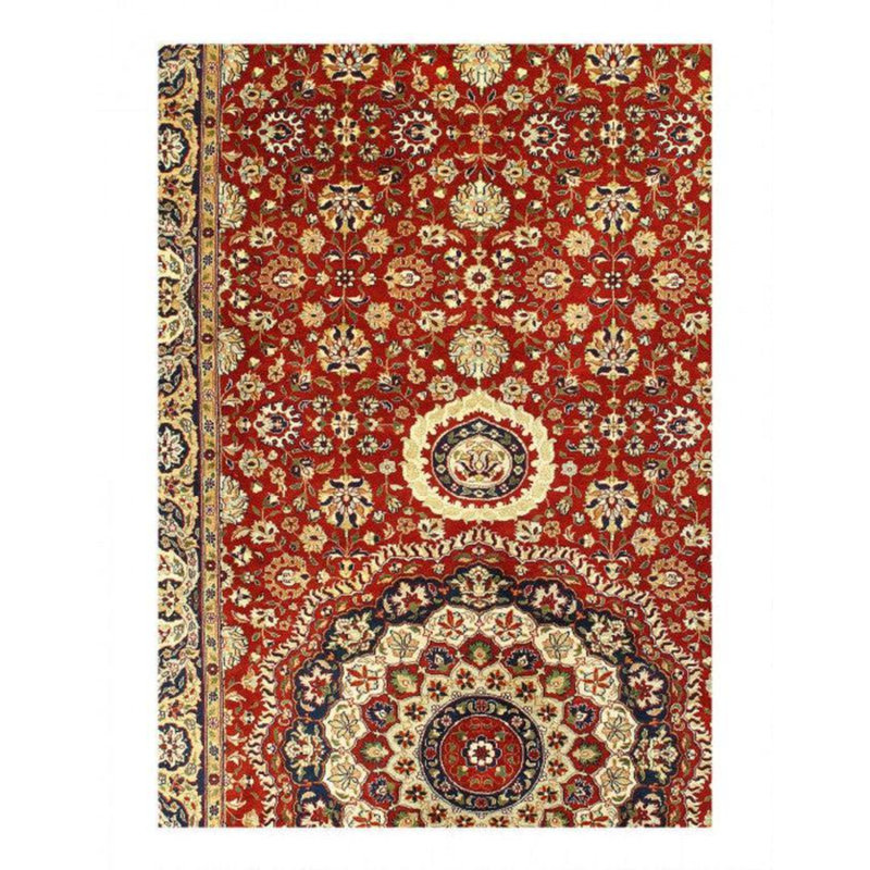 Oriental Area Rug in Red