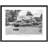 New Forest, Pigs Near Brook C1955 by Francis Frith - Single Picture Frame Print-51363670