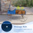 Chasitty Planter-1636729367