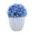 Bleu n'est pas disponible