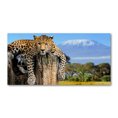 Leopard On The Trunk - Wrapped Canvas Print