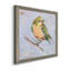 Oiseau Variété II - Toile encadrée de qualité supérieure - prête à être accrochée-602294834-602294835