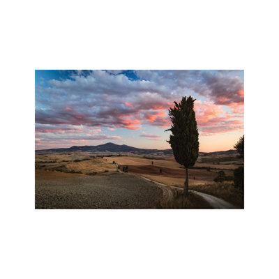 Matteo Colombo - Wrapped Canvas Print
