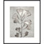 Lucent Botanicals 5 Print by Darrell Kincer
