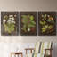 Châtaignier sur suède - Ensemble de 3 peintures sur toile encadrées-1652042802-1652042806