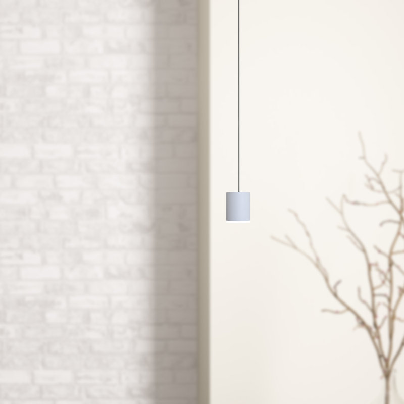 Andromedae 1 - Light Single Pendant, White/Nickel