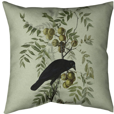 Coussin en oiseau américain american