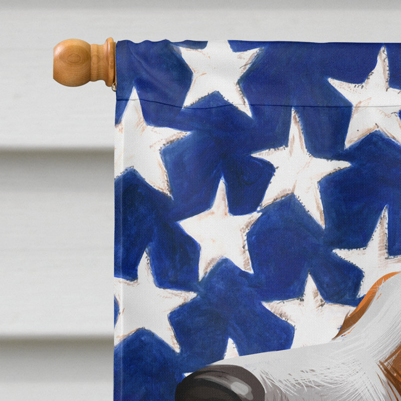 Polyester à 2 côtés 28 x 40 po drapeau maison, Coonhound américain