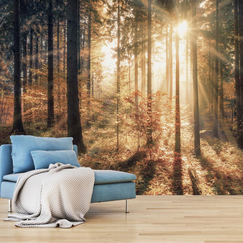 Murale arbres Faiyaaz au soleil du matin, L 27 po x l 38 po
