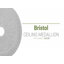Médaillon de plafond Bristol de 23 1/2 po x P 3 7/8 po x P 1 po (convient aux auvents jusqu'à 3 7/8 po)-28578247