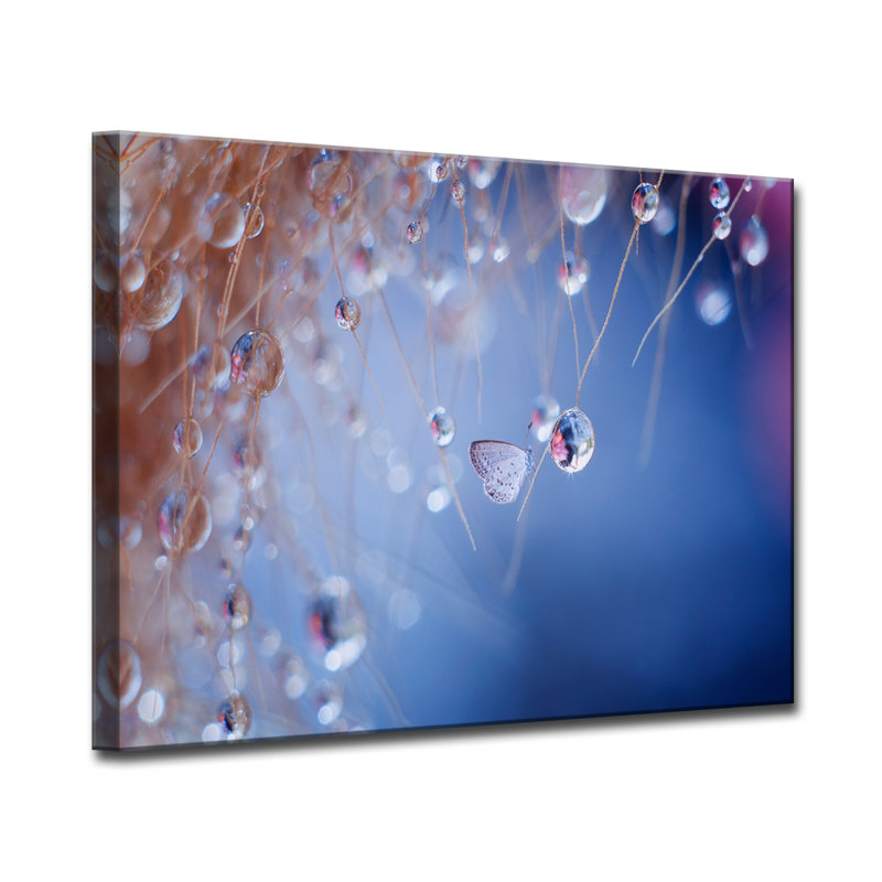 « gouttelettes », reproduction de photo sur toile, H 16 po x l 20 po x P 1,5 po